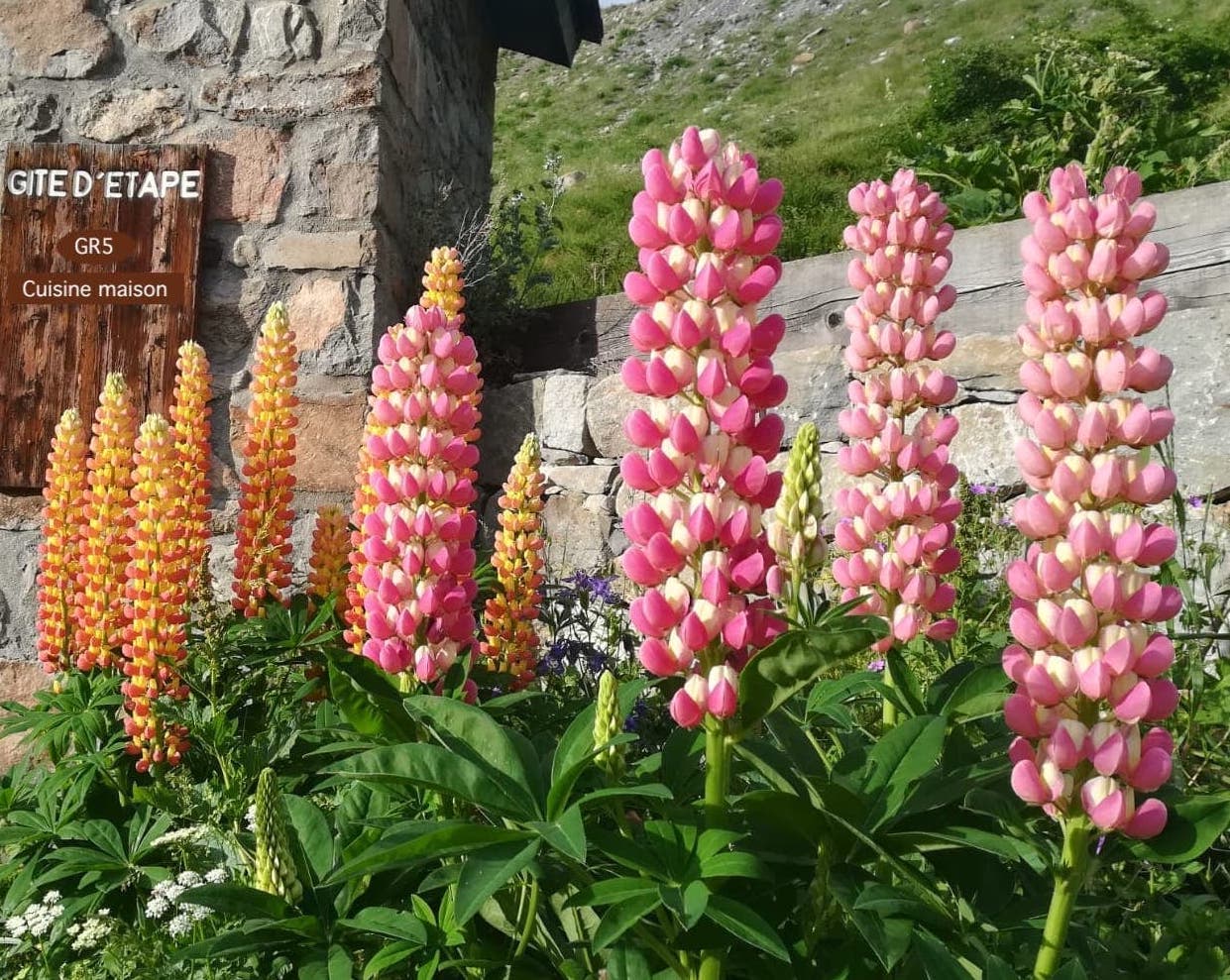 Gîte d'étape de Bousieyas 5